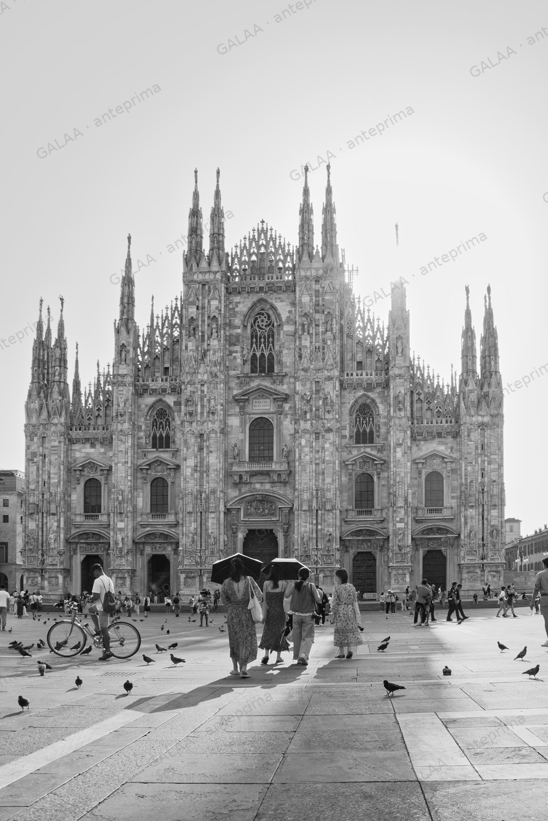 Ritmi di Pietra e Vita